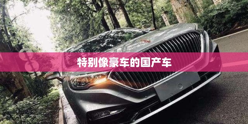 特别像豪车的国产车 特别像豪车的国产车