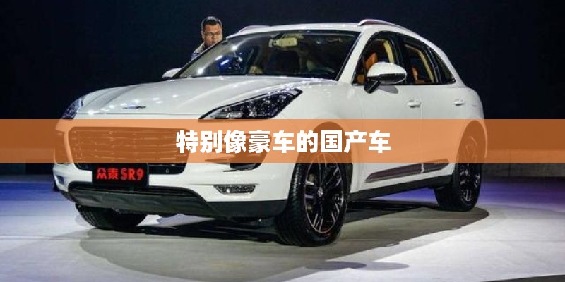 特别像豪车的国产车 特别像豪车的国产车