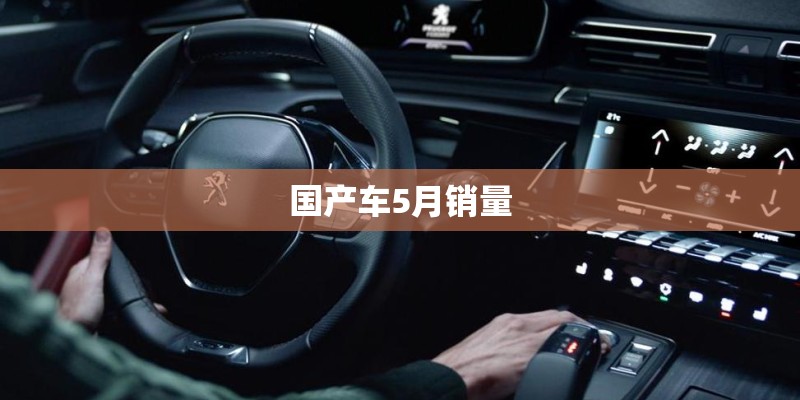 国产车5月销量