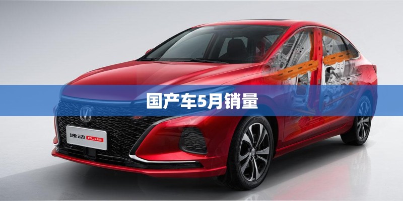 国产车5月销量