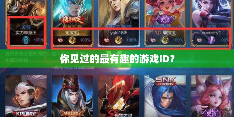 你见过的最有趣的游戏ID？