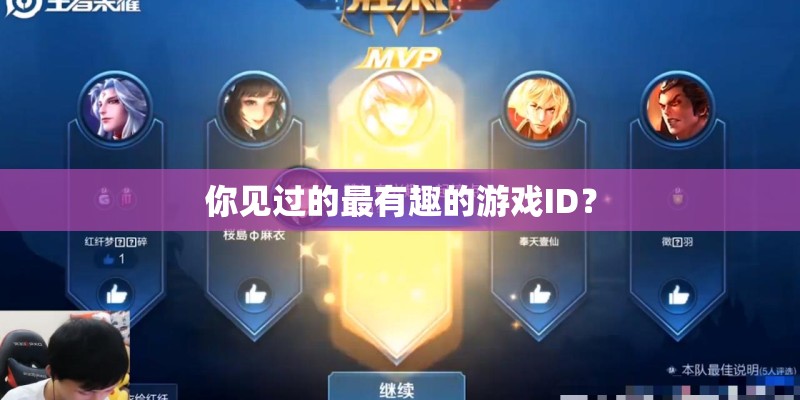 你见过的最有趣的游戏ID？