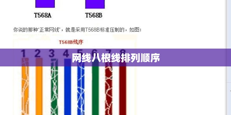 网线八根线排列顺序