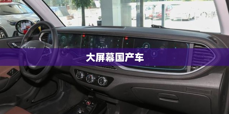 大屏幕国产车 大屏幕国产车