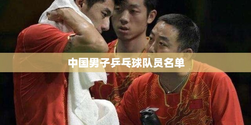 中国男子乒乓球队员名单