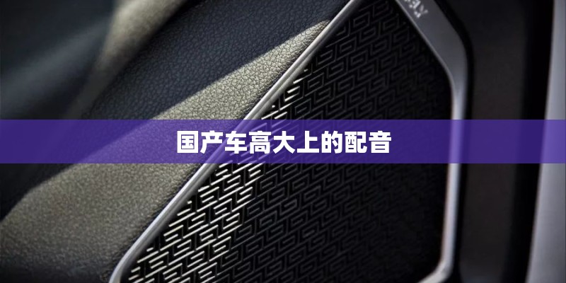 国产车高大上的配音