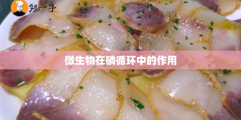 微生物在磷循环中的作用 微生物在磷循环中的作用