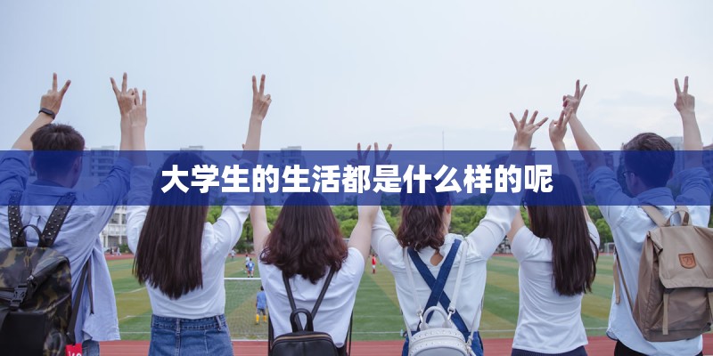 大学生的生活都是什么样的呢 大学生的生活都是什么样的呢