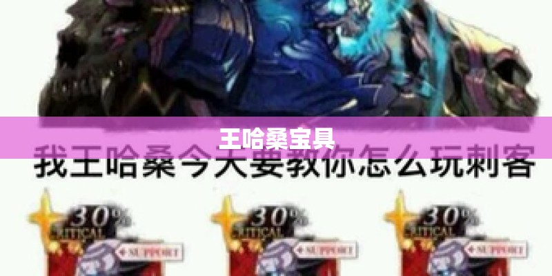 王哈桑宝具