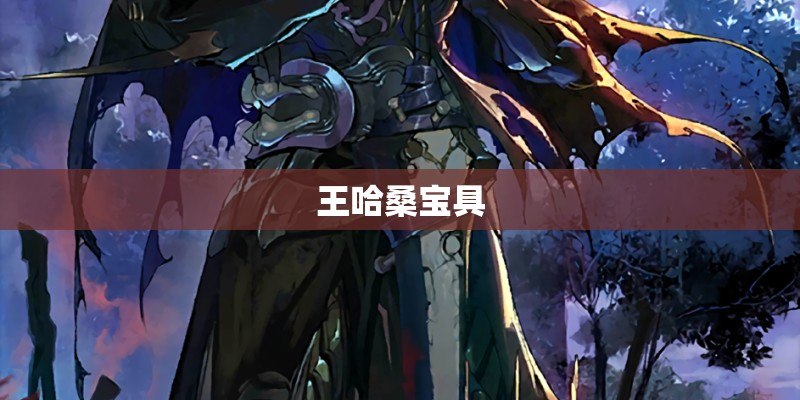 王哈桑宝具