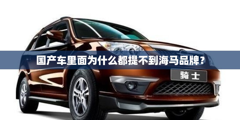 国产车里面为什么都提不到海马品牌？