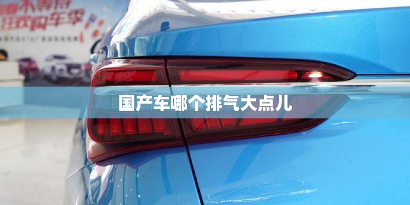 国产车哪个排气大点儿