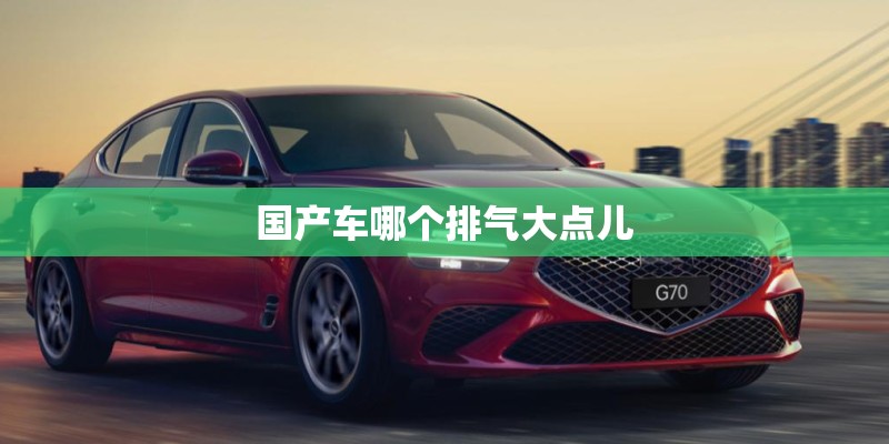 国产车哪个排气大点儿