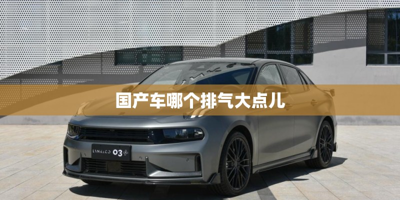 国产车哪个排气大点儿