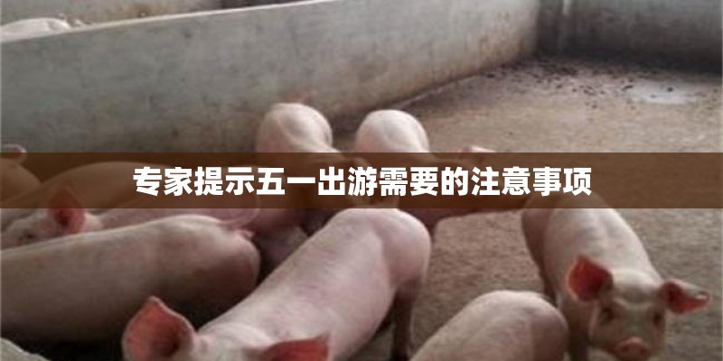 关于中国古代戏曲的起源与发展！